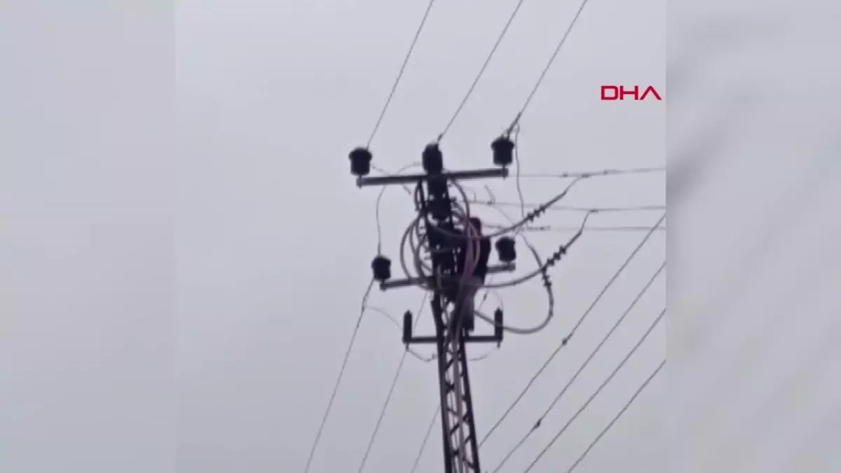 HATAY\'da akli dengesi yerinde olmayan bir kişi elektrik direğinde akıma kapılarak ağır yaralandı