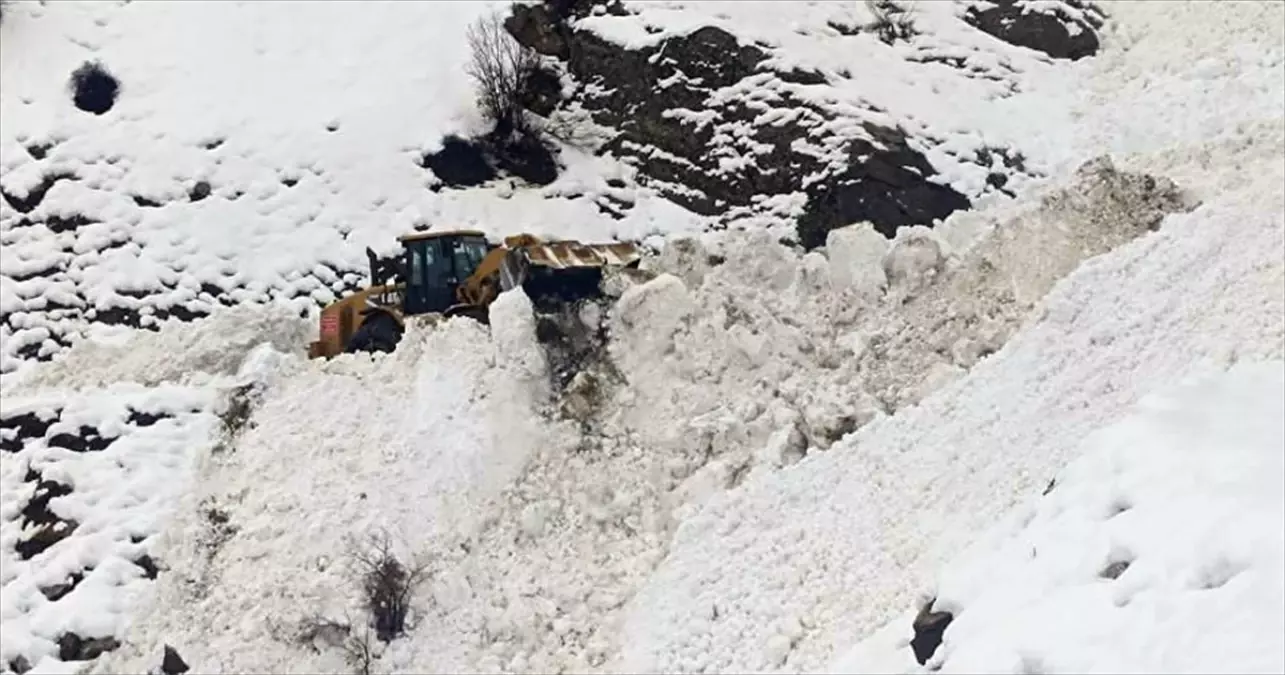 Hakkari\'nin Şemdinli ilçesinde 2 köy yolu çığ nedeniyle kapandı