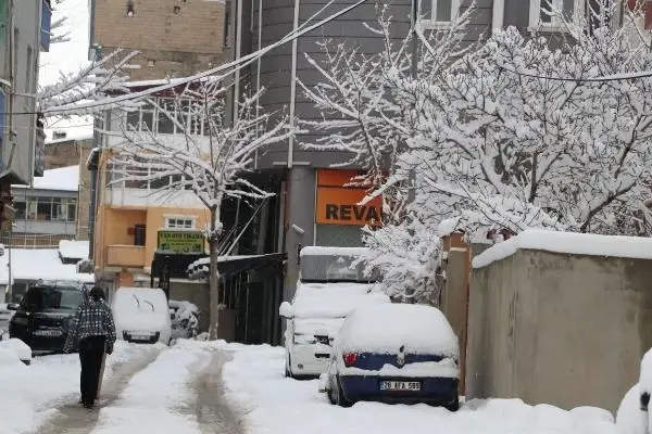 671 yerleşim yerinin ulaşıma kapandığı Van'da muhtar koyunları dışarı çıkarmak için 4 metrelik tünel kazdı