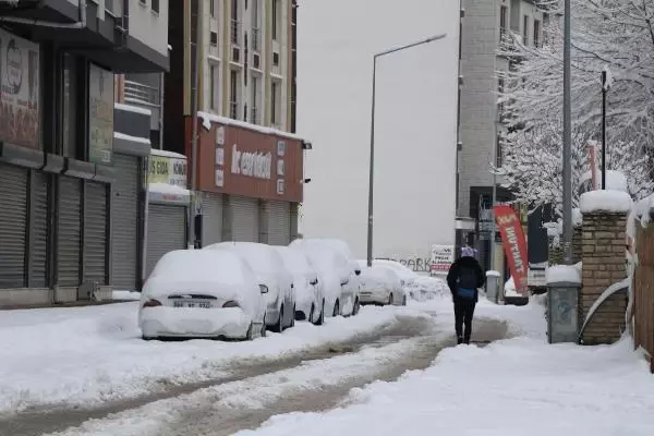 671 yerleşim yerinin ulaşıma kapandığı Van'da muhtar koyunları dışarı çıkarmak için 4 metrelik tünel kazdı