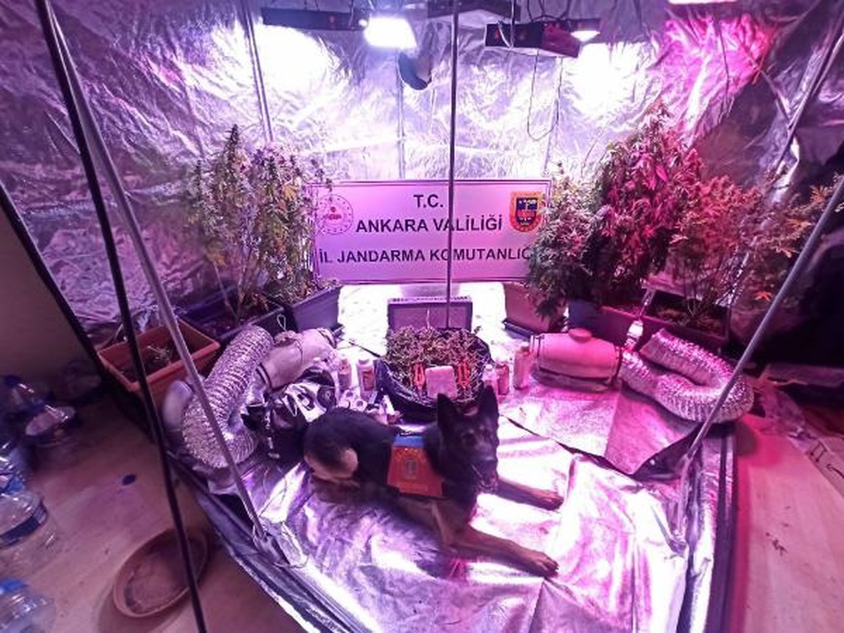 Ankara\'da yapılan operasyonlarda 12 şüpheli gözaltına alındı
