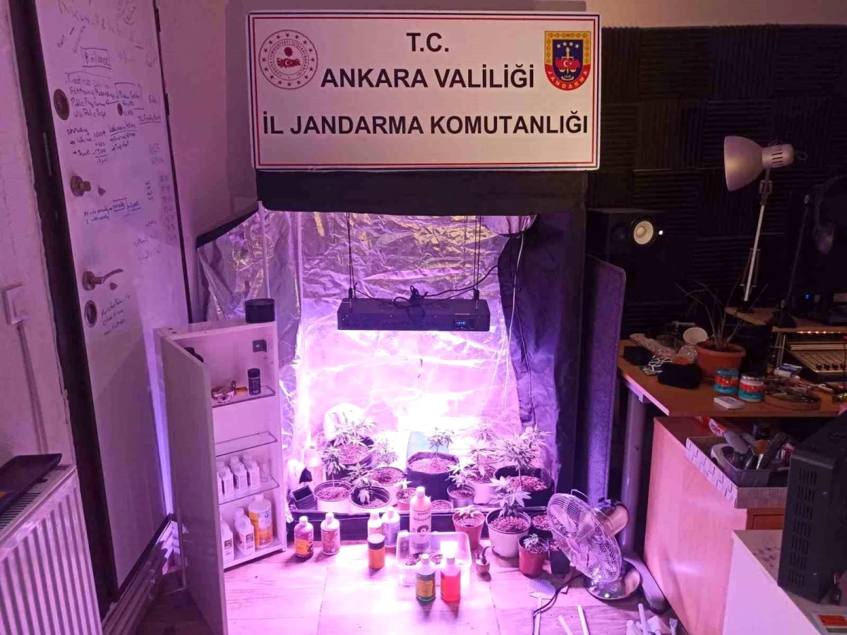 Ankara\'da Uyuşturucu Operasyonu: 12 Gözaltı ve Büyük Miktarda Ele Geçirilen Madde