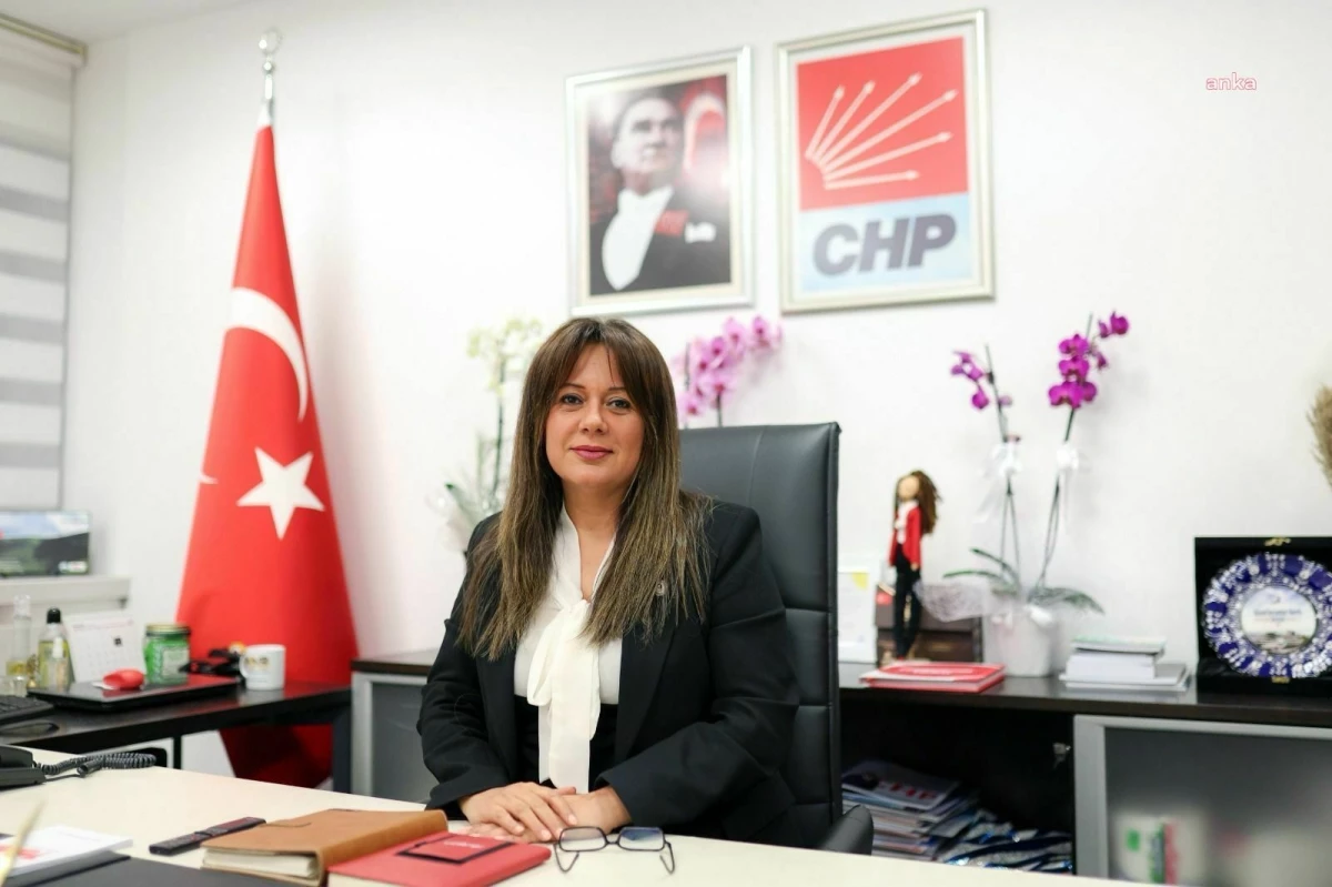 CHP Genel Başkan Yardımcısı Koza Yardımcı: Ayasofya\'ya kepenk takılması kültürel bir saldırıdır