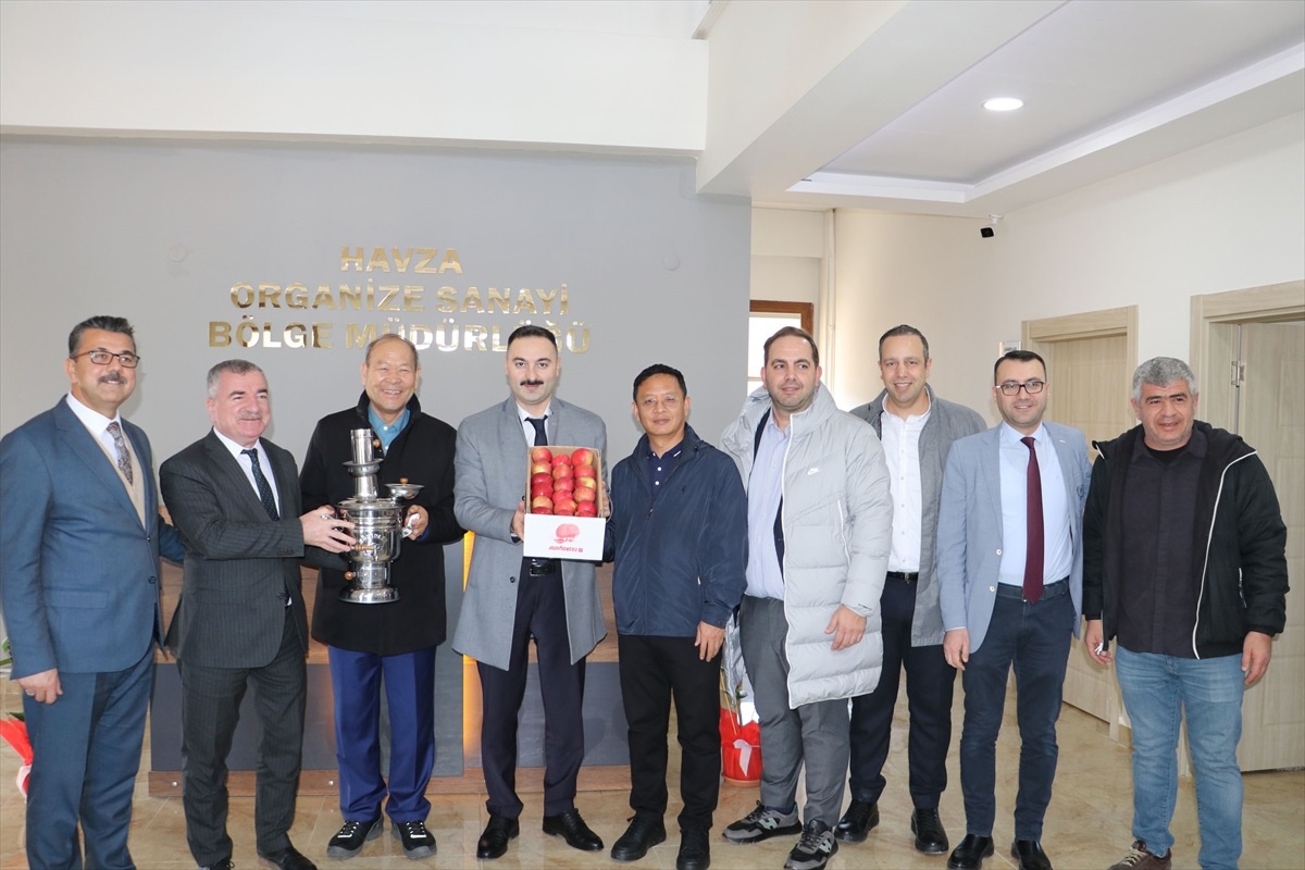 Çinli Yatırımcılar Havza OSB\'yi İnceledi