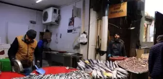 EGE Denizi'nde Fırtına Sonrası Balık Bolluğu