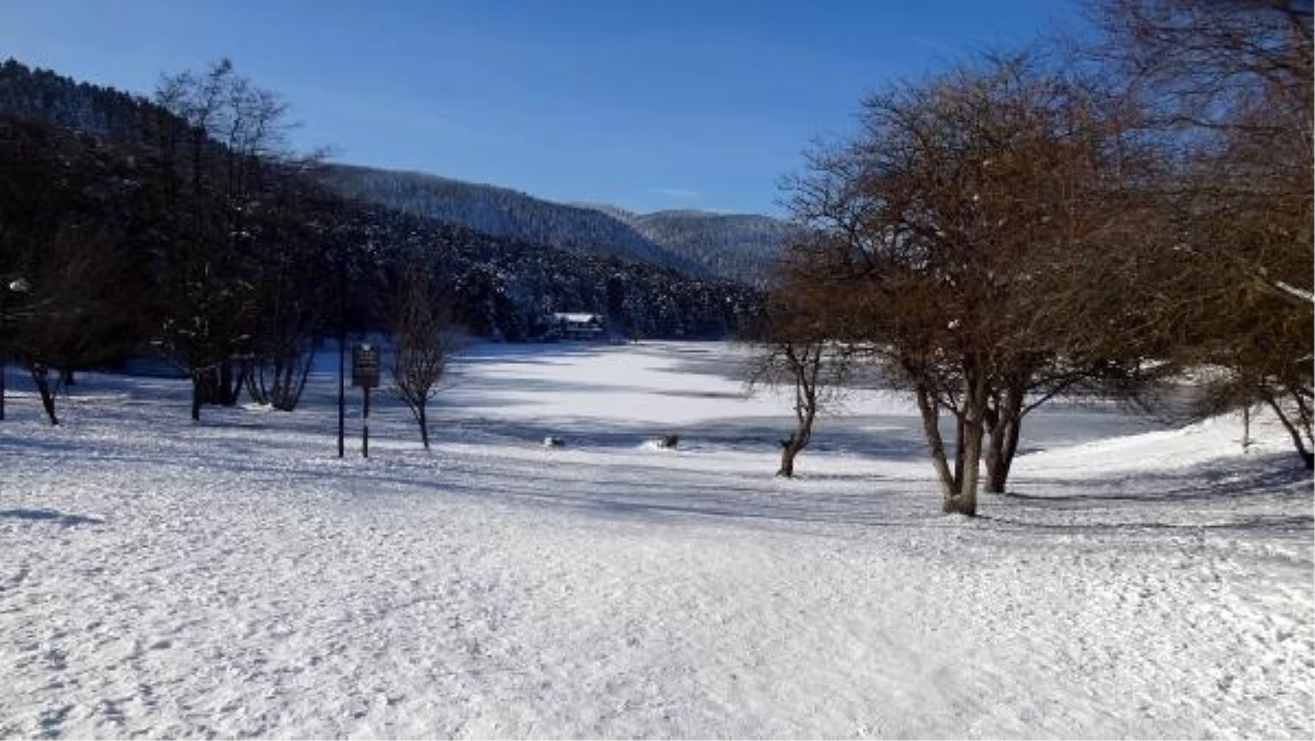 Bolu Gölcük Tabiat Parkı\'ndaki Göl Buz Tutarak Harika Manzaralar Oluşturdu