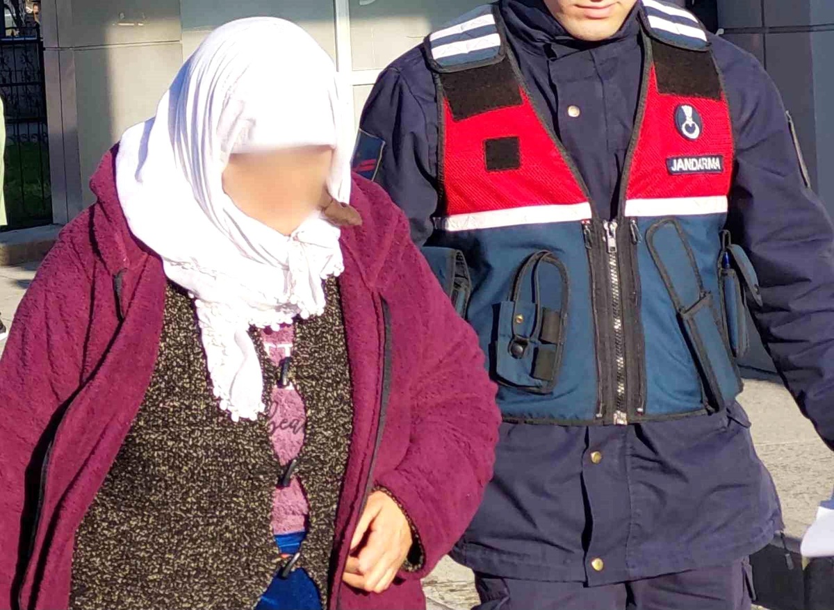 Samsun\'da bir evin bahçesinden 3 hindinin çalınması olayıyla ilgili kadın serbest bırakıldı