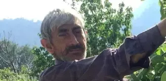 Erdemli'de Ağaç Keserken Hayatını Kaybetti