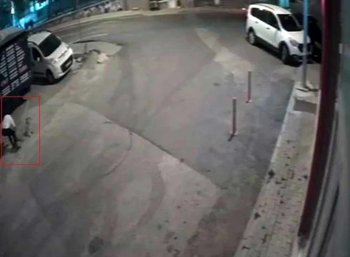 Kırklareli\'de sahipsiz köpeği bıçakla öldüren sanığa 15 bin lira para cezası