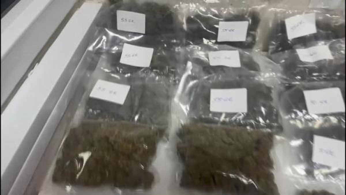 Üsküdar\'da uyuşturucu operasyonu: 2 kilo 35 gram Skunk ele geçirildi
