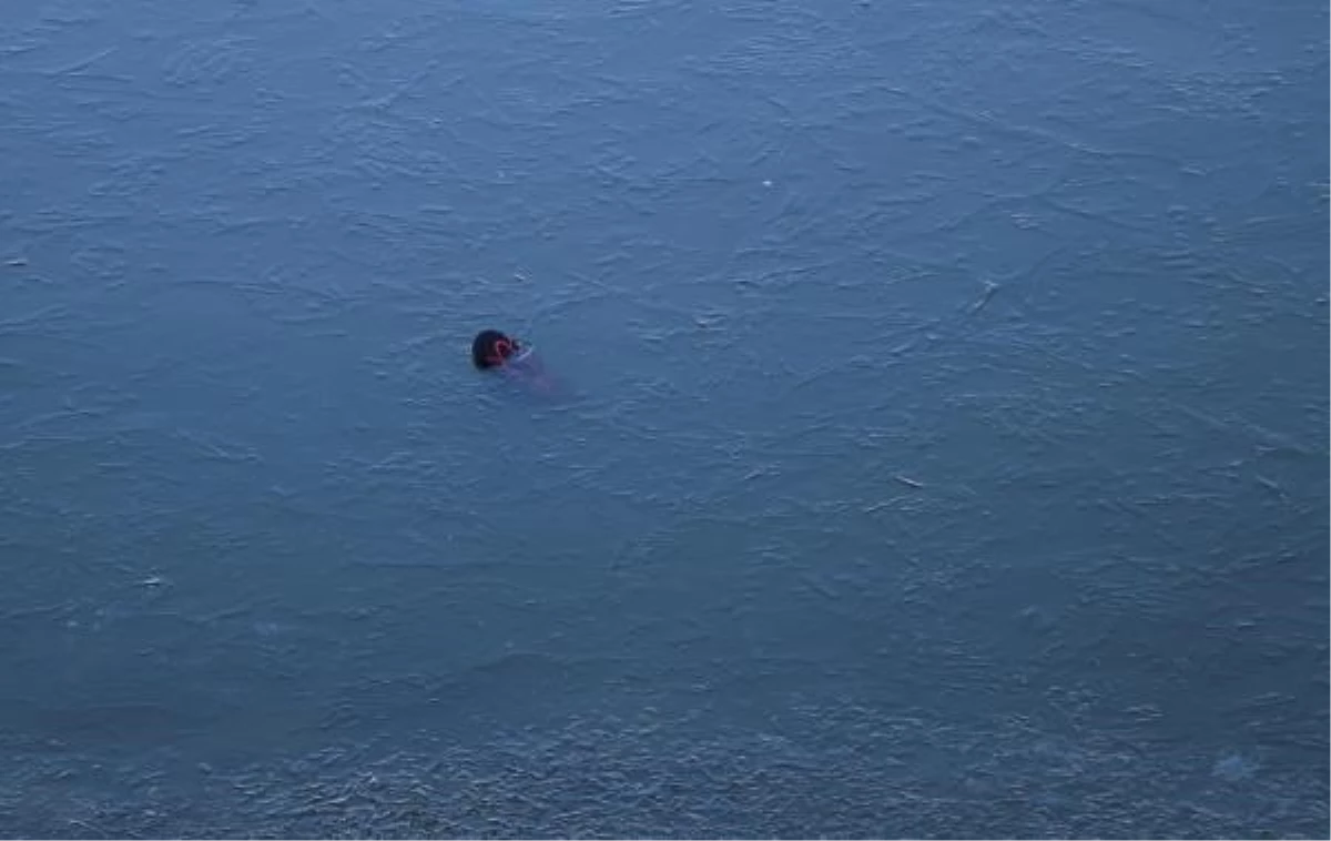 VAN\'da soğuk hava sonrası Sıhke Göleti\'nin yüzeyi kısmen dondu