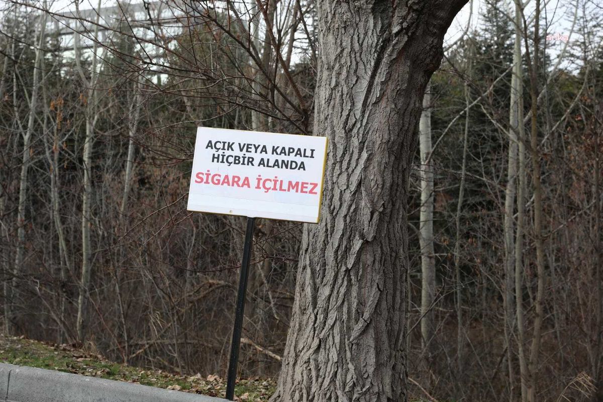 Türkiye\'deki Üniversitelerin Yüzde 44,3\'ü Dumansız Hava Sahası İlan Edildi