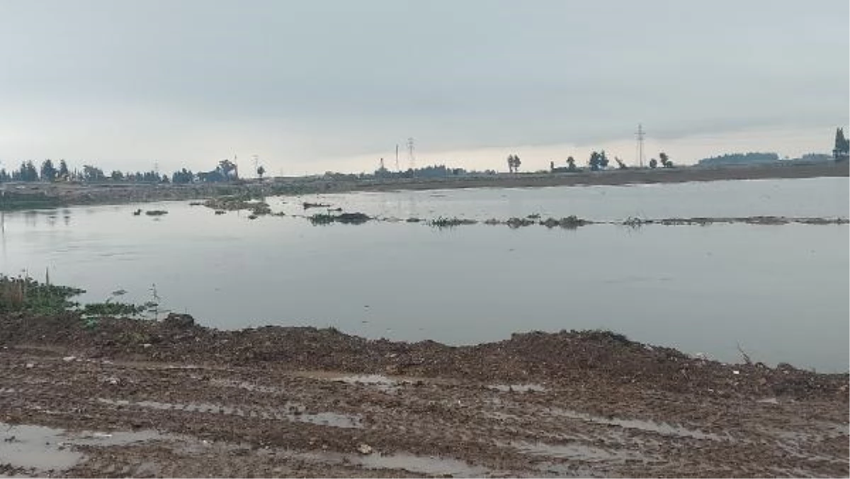 Hatay\'da sağanak yağış nedeniyle Asi Nehri taştı