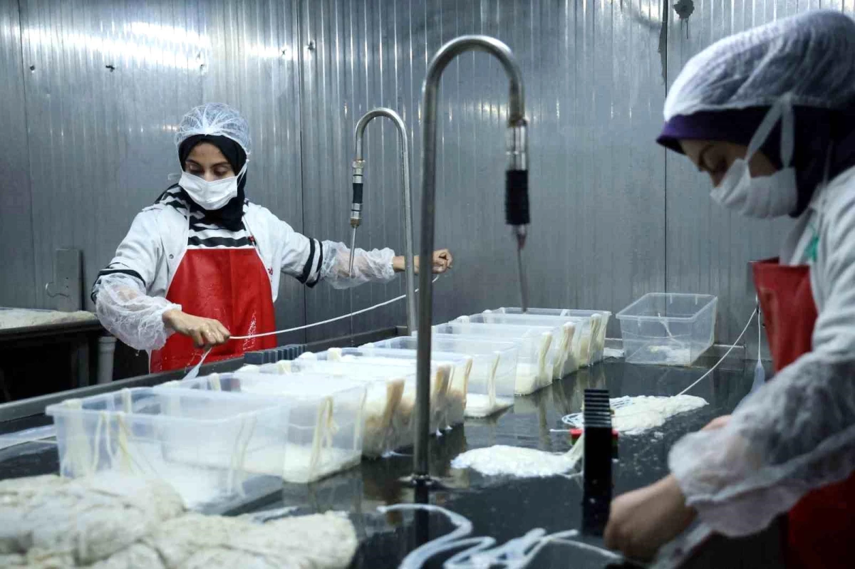 Diyarbakır\'daki Kokoreç Üretim Tesisi Avrupa Ülkelerine İhracat Yapıyor