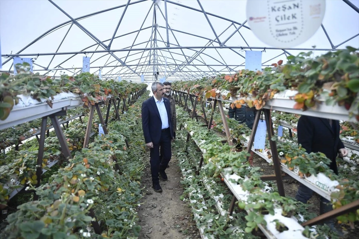 Edirne Valisi Yunus Sezer, Keşan\'da tarım lisesi öğrencilerinin üretim yaptığı seralarda incelemede bulundu