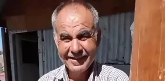 Hayvanlarını otlatmaya gittiği dağlık alanda domuz saldırısı sonucu can verdi