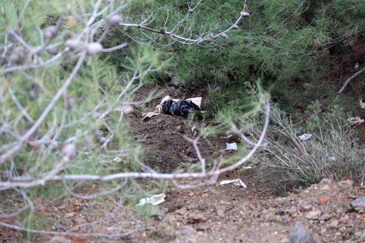 İzmir\'de Ormanlık Alanda 2 Köpek Ölüsü Bulundu