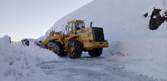 Hakkari-Şırnak kara yolu çığ nedeniyle kapanmıştı, yeniden ulaşıma açıldı