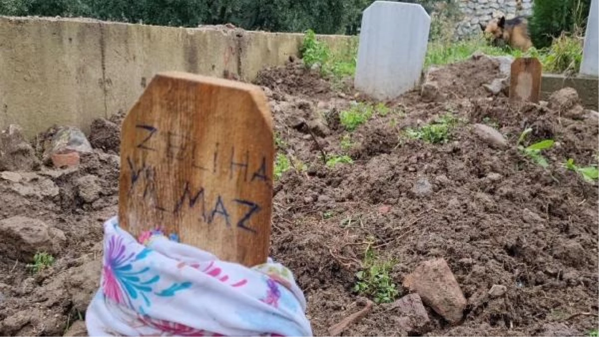 Babaannesinin Mezarının Başında Kaybolan Köpeği Buldu