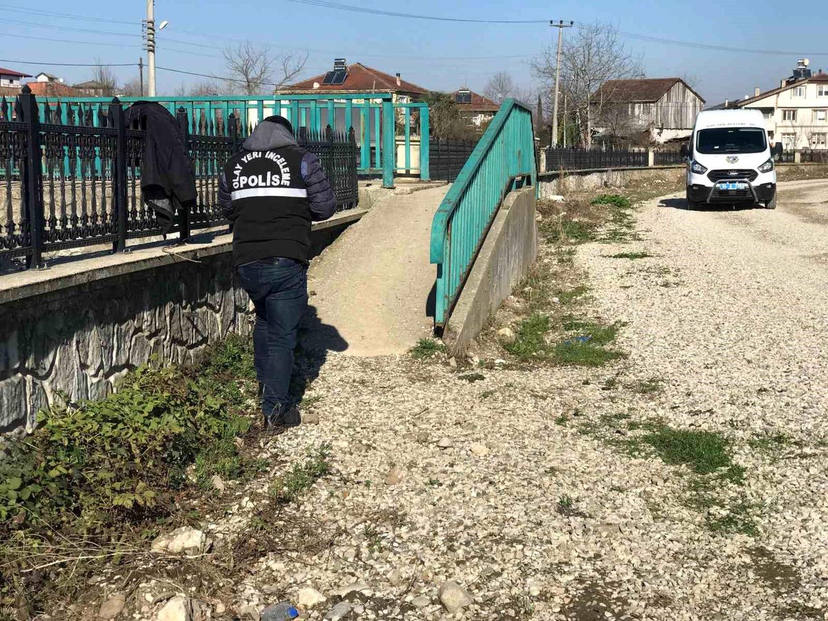 Sakarya\'da miras meselesi yüzünden kardeşini vuran şüpheli ev hapsine çarptırıldı