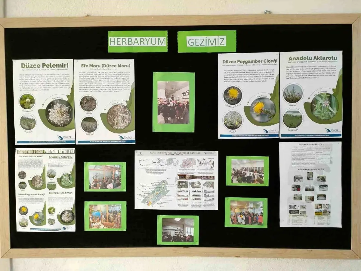 Düzce Üniversitesi Orman Fakültesi Herbaryumu ve Doldurulmuş Hayvan Müzesi\'ni Nejdet Bıçakçıoğlu İlkokulu öğrencileri ziyaret etti