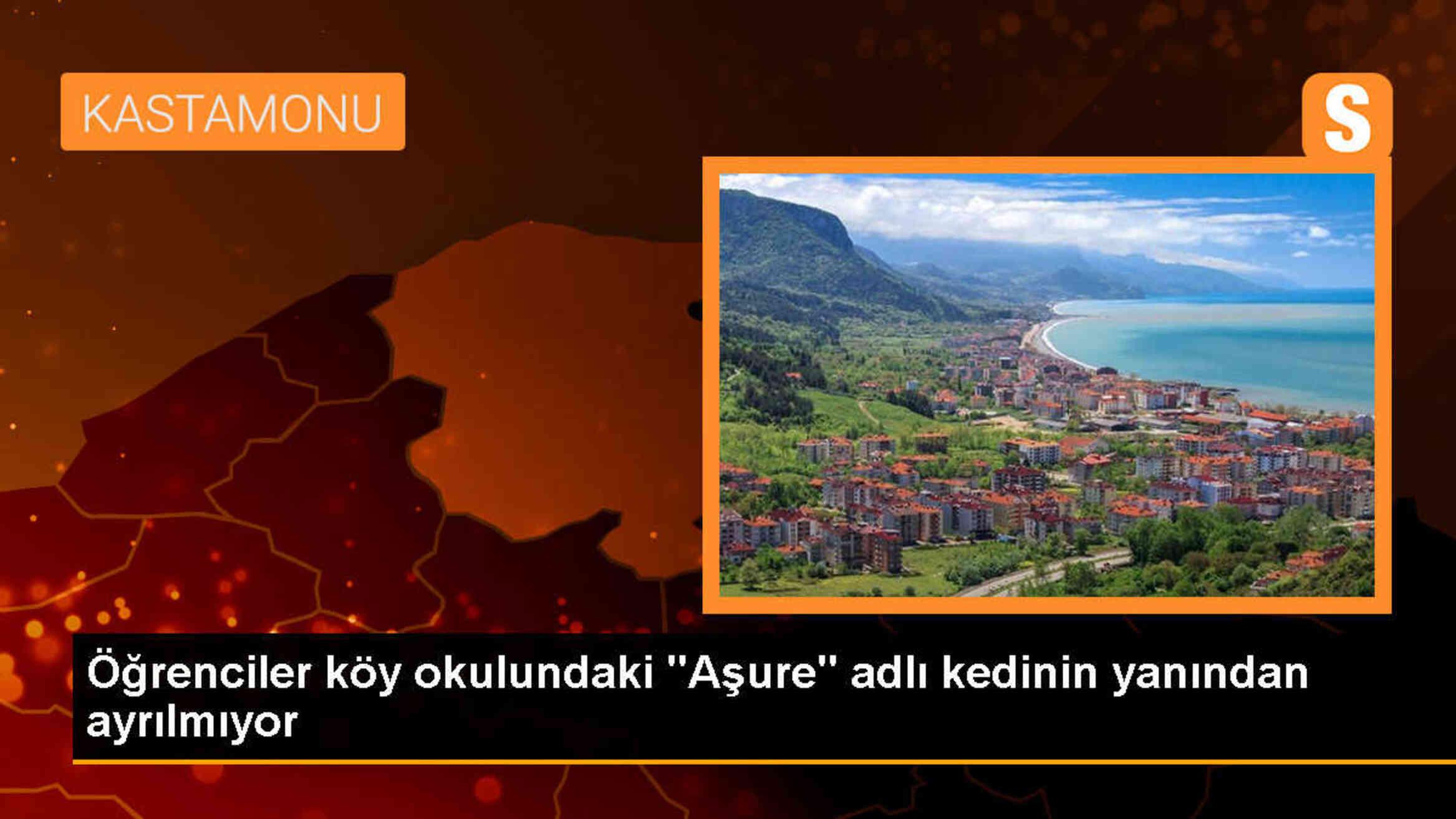 Kastamonu\'da okulun maskotu olan kedi, öğrencilerin sevgisini kazandı