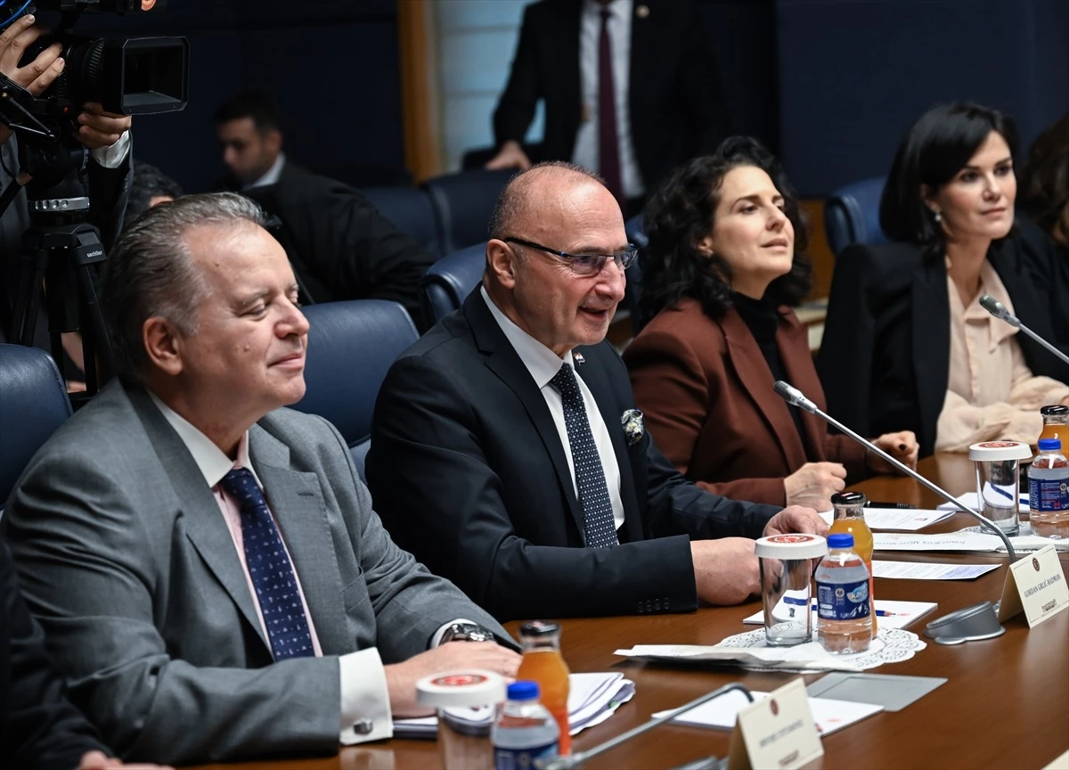 TBMM Dışişleri Komisyonu Başkanı Fuat Oktay, Hırvatistan Dış ve Avrupa İşleri Bakanı Gordan Grlic Radman ile görüştü