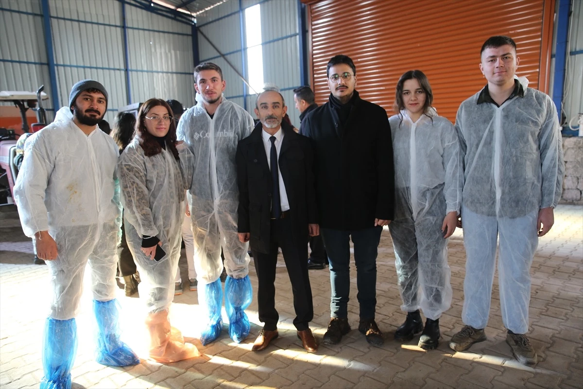 TOGÜ\'de Laborant ve Veteriner Sağlık Programı Öğrencilerine Büyükbaş Hayvanlarla İlgili Eğitim Verildi