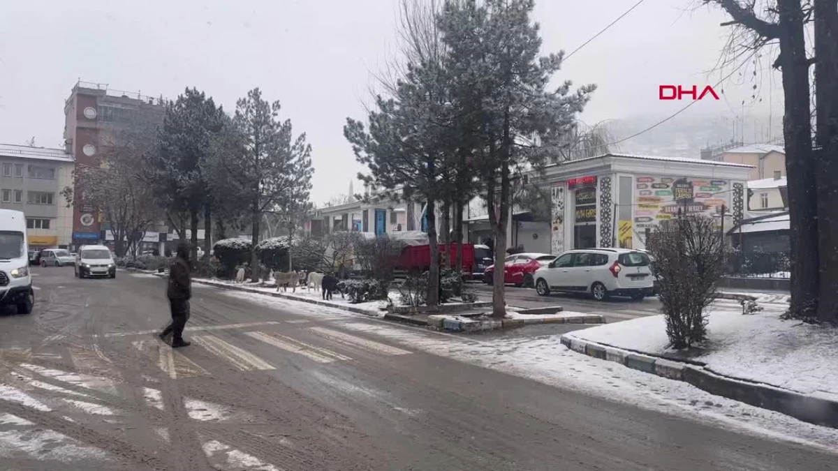 Tunceli\'de Kar Yağışı Etkisini Artırdı
