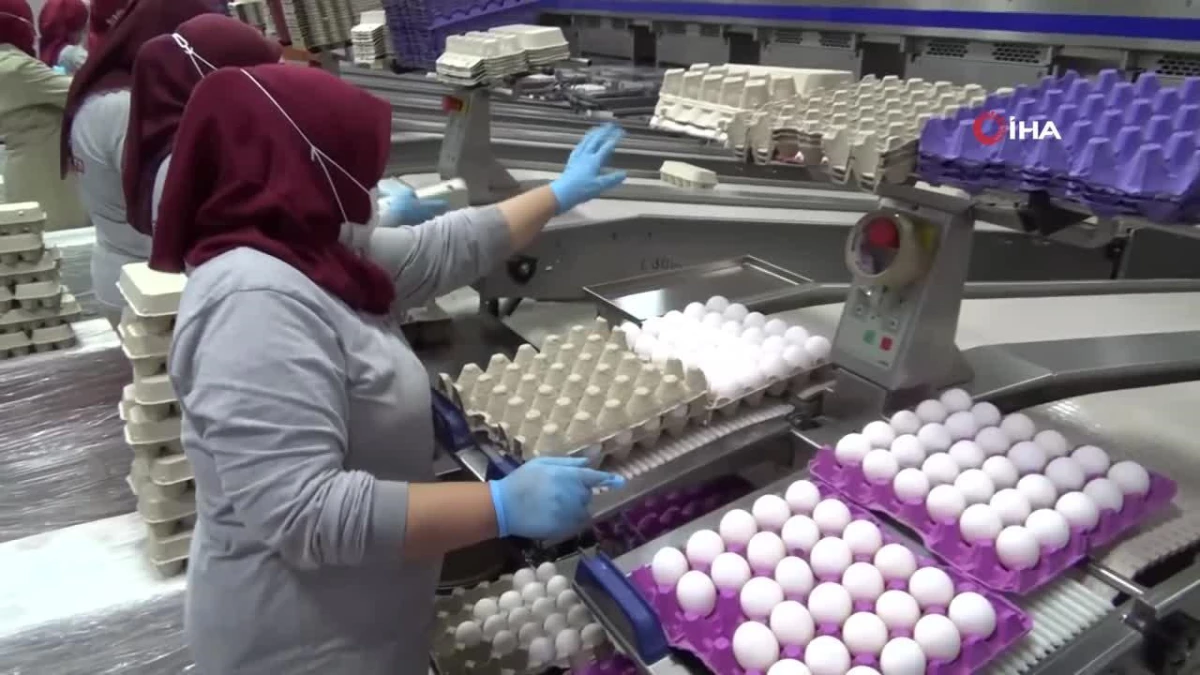 Üreticiler Aracıları Yumurta Fiyatlarının Yükselmesinden Sorumlu Tutuyor