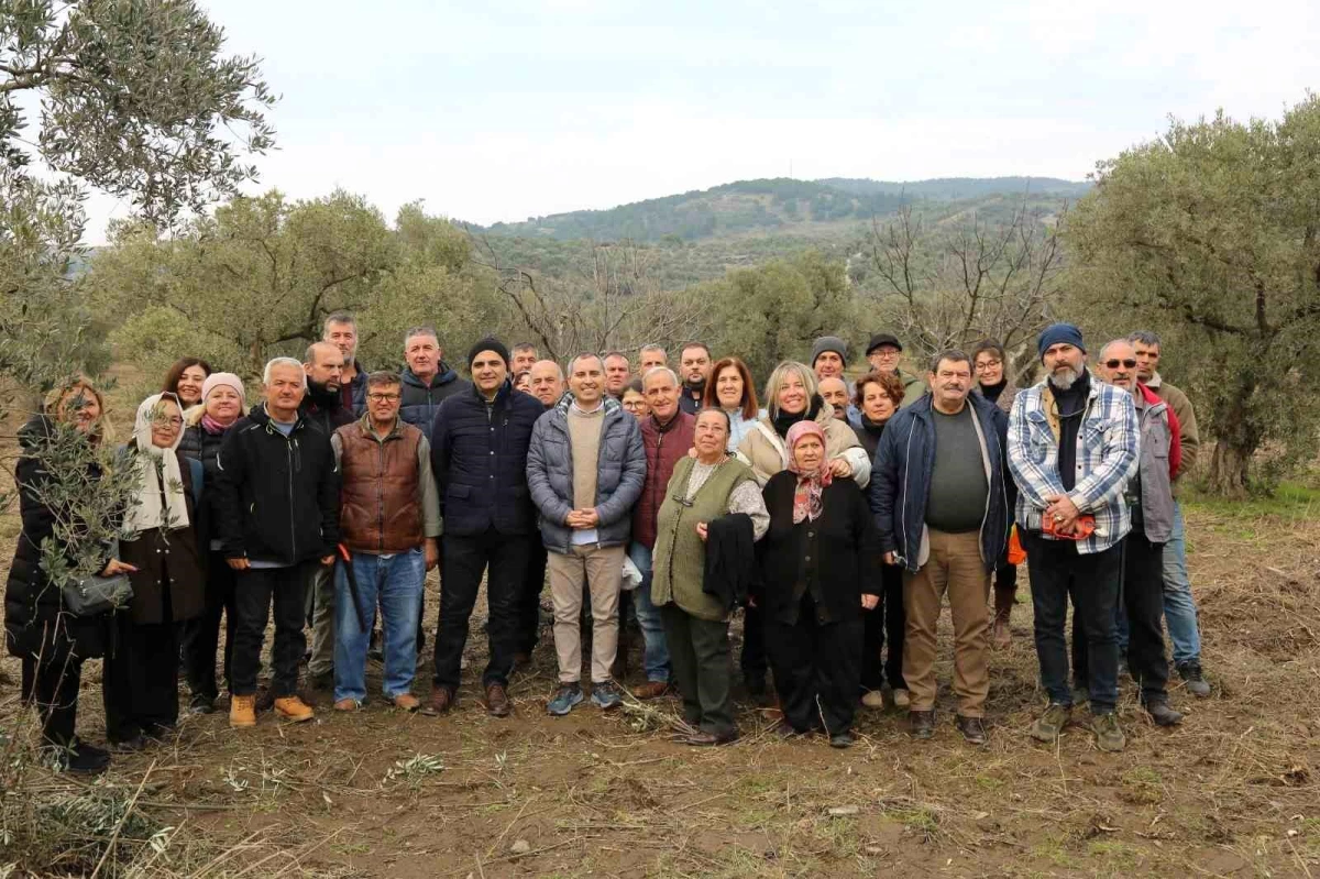 Efes Tarlası Yaşam Köyü\'nde Kadın Üreticilere Zeytin Ağacı Budama Eğitimi Verildi