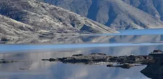 Adıyaman'ın Çat Barajı'ndaki yüzen adaların korunması için çalışma başlatıldı