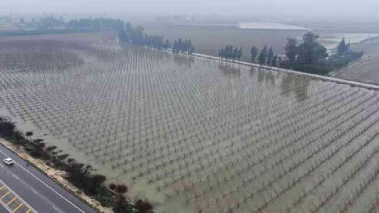 Asi Nehri taştı, 10 bin dekar tarım arazisi sular altında kaldı