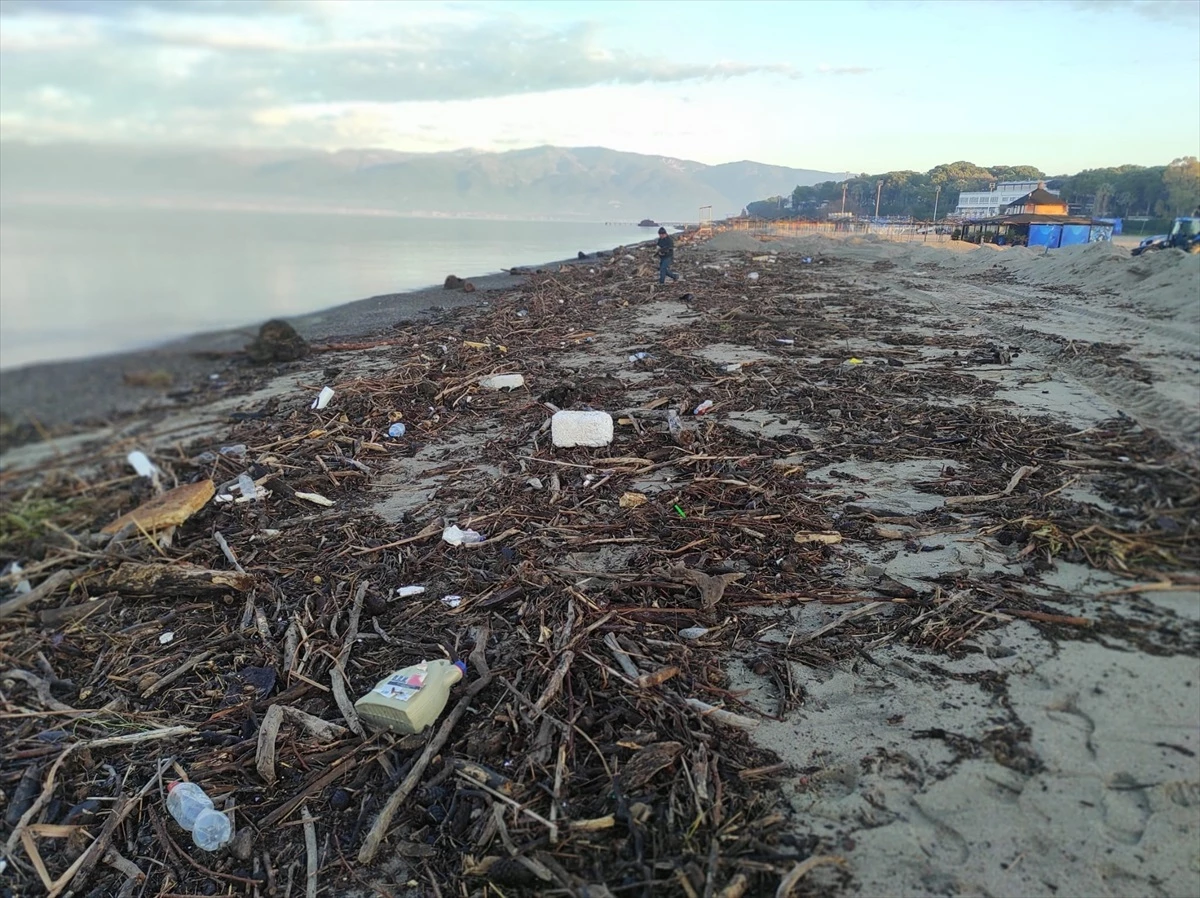 Burhaniye\'de Sağanak ve Lodos Sonrası Ören Plajı Temizleniyor