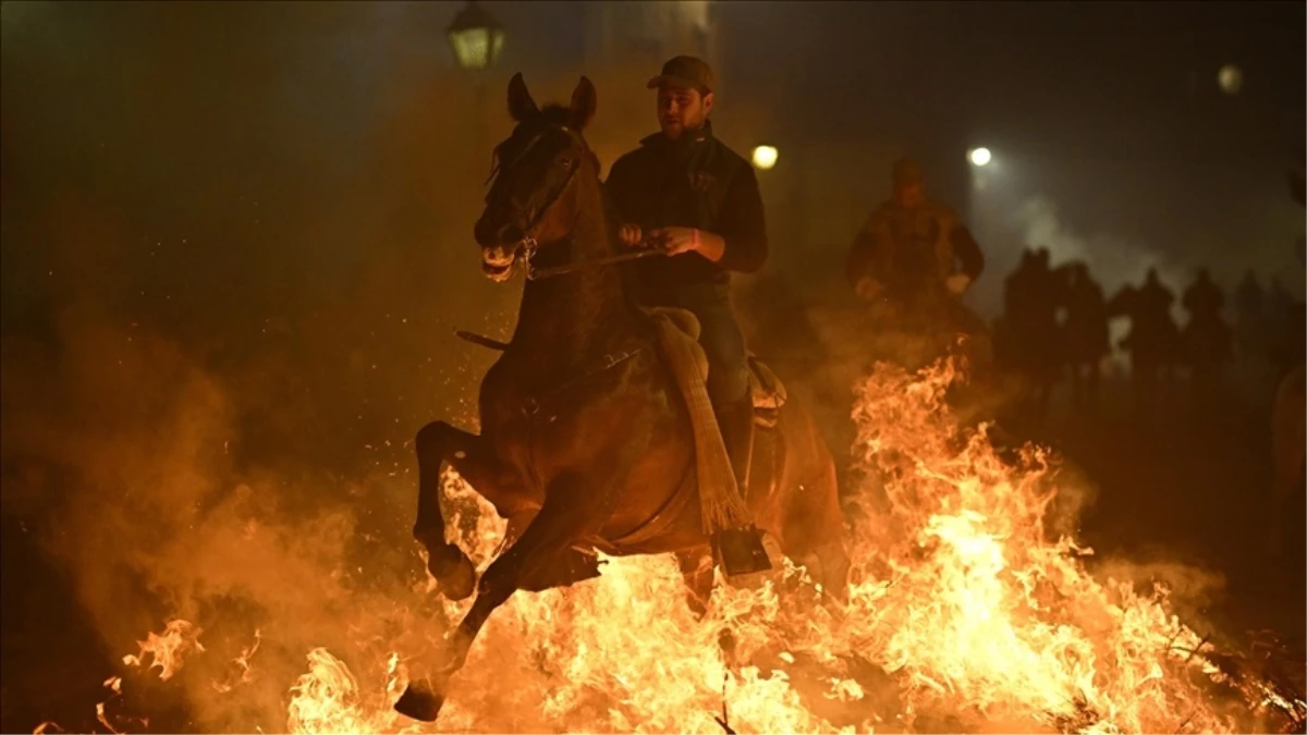 İspanya\'da 400 Yıllık Gelenek: Atlar Ateşin Üzerinden Atlatıldı