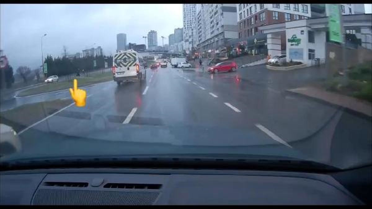 Kadıköy\'de başıboş köpekler kadına saldırdı, Başakşehir\'de öğrenciler kovalandı