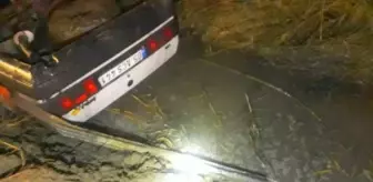 Çorum'da Köpeklere Çarpmamak İçin Yapılan Manevra Kazayla Sonuçlandı