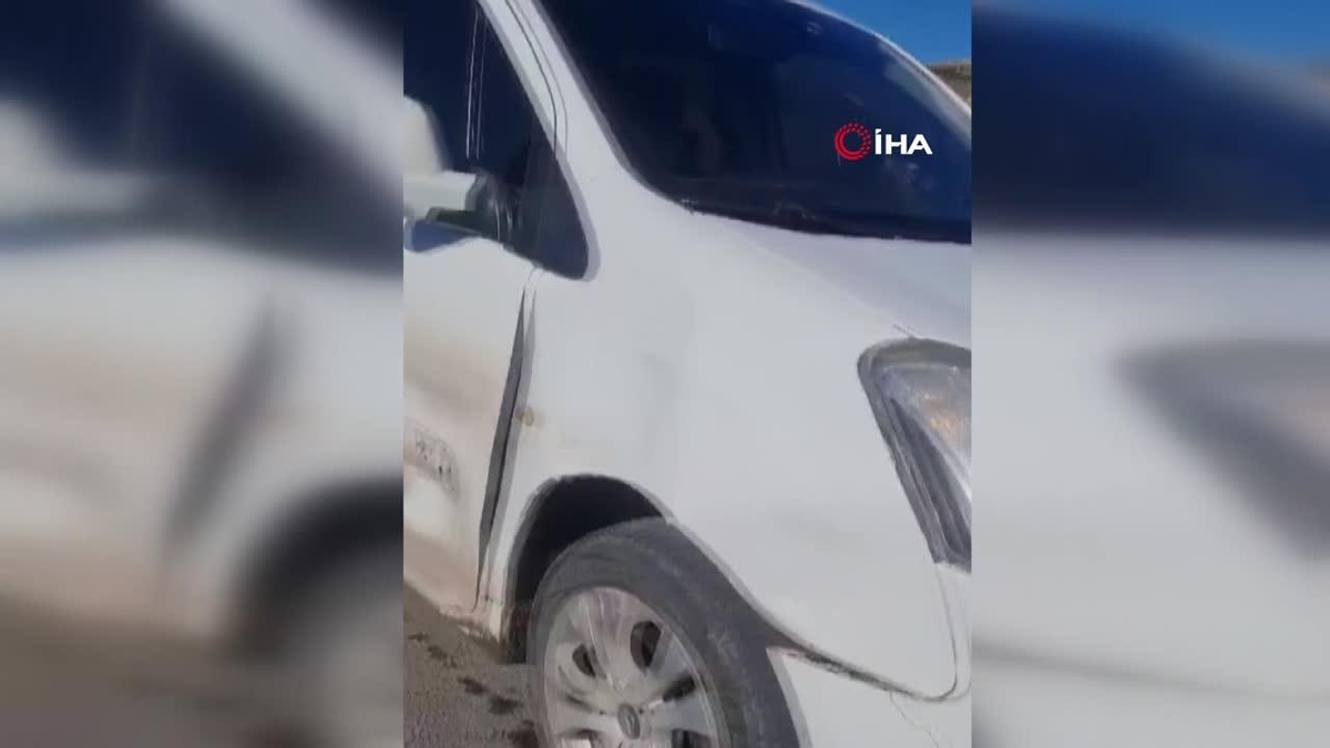 Önüne çıkan domuz sürüsüne böyle çarptı, kazayı ucuz atlattı