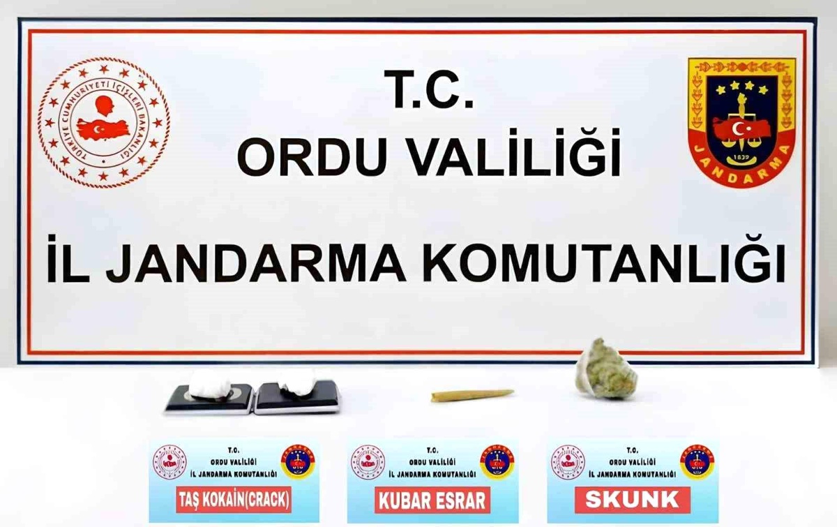 Ordu\'da Uyuşturucu Operasyonu: Bir Şahıs Tutuklandı