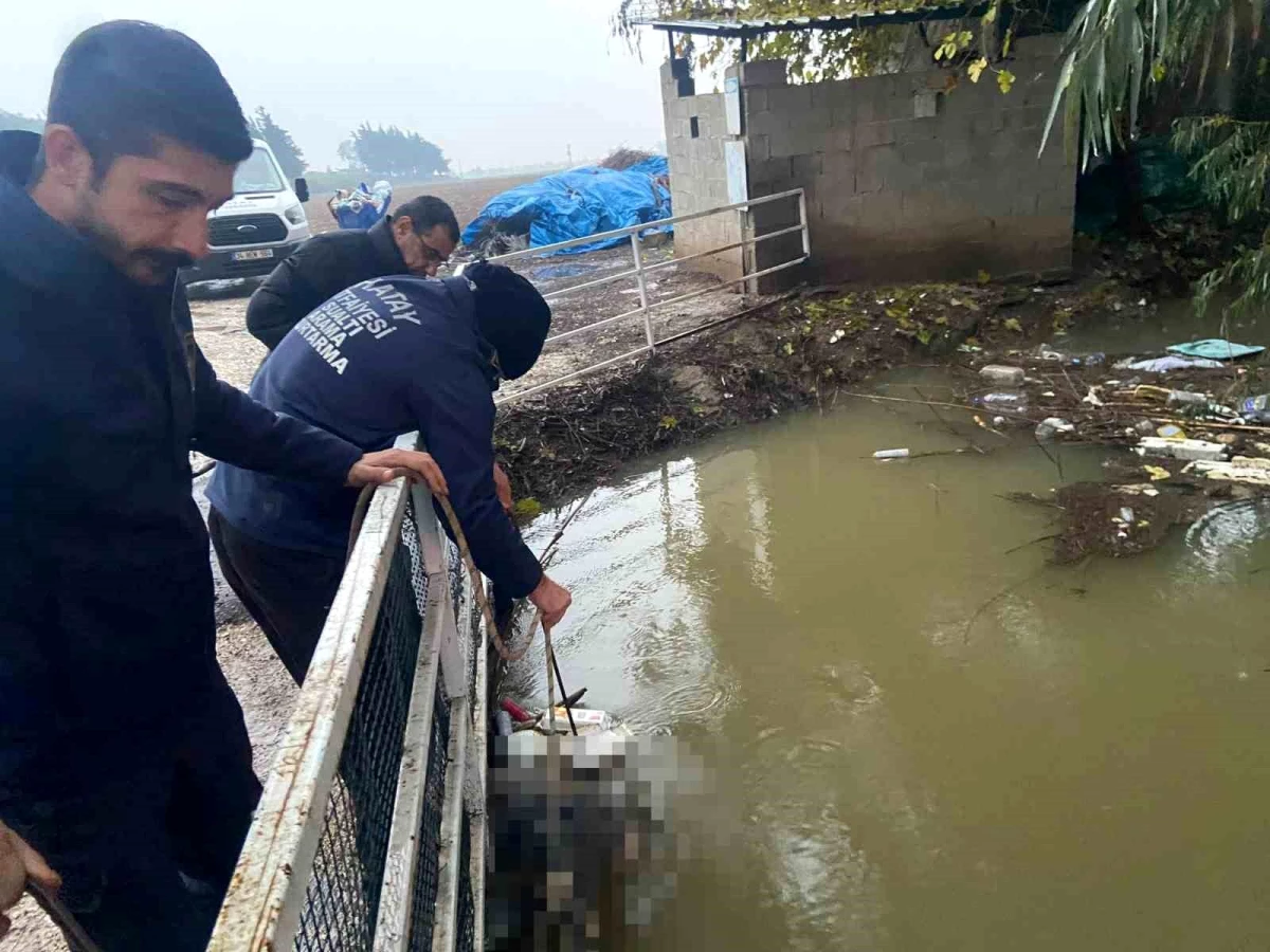 Hatay\'ın Reyhanlı ilçesinde sulama kanalında erkek cesedi bulundu