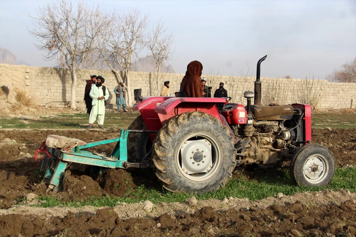 Taliban, Afganistan\'da Haşhaş Ekimini Yok Etmeye Devam Ediyor