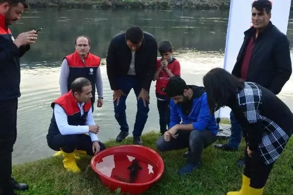 Dünyanın en çok aranan balıklar listesindeydi: Dicle Nehri'nde bulundu