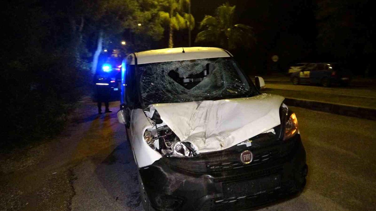 Manavgat\'ta Başıboş Atın Çarptığı Araçta Büyük Hasar Oluştu