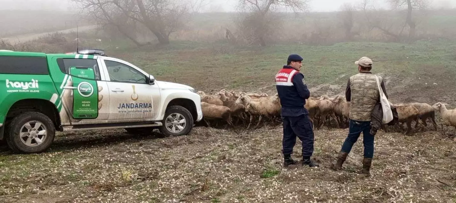 Edirne\'de Jandarma Ekipleri Hayvancılık Yapanlara Hastalıklarla İlgili Bilgilendirme Yaptı