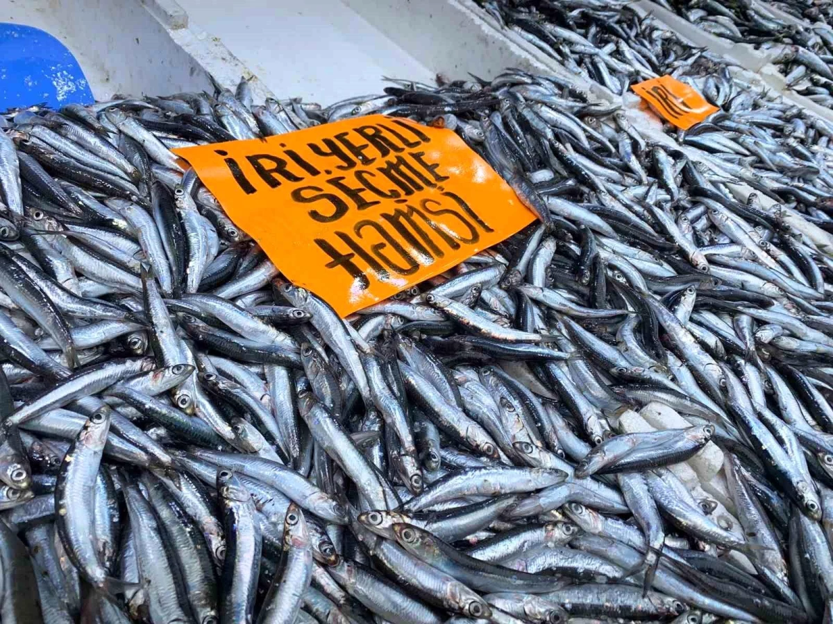 Zonguldak\'ta Balık Fiyatlarındaki Artış Tezgahlara İlgiyi Azalttı