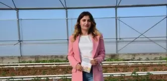 Hollanda Büyükelçiliği, Şırnak'ta Lale Soğanları Yetiştirilecek