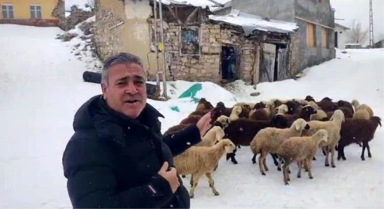 Erzurum\'da Kar Yağışı Hayatı Etkiliyor