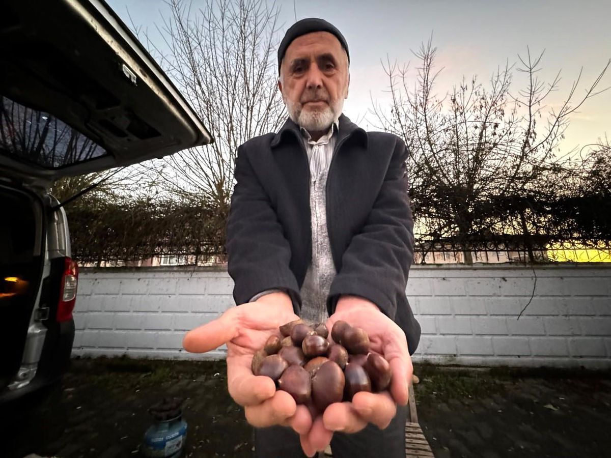 Düzce\'de Yetişen Kestanenin Püf Noktaları Uzman Tarafından Anlatıldı