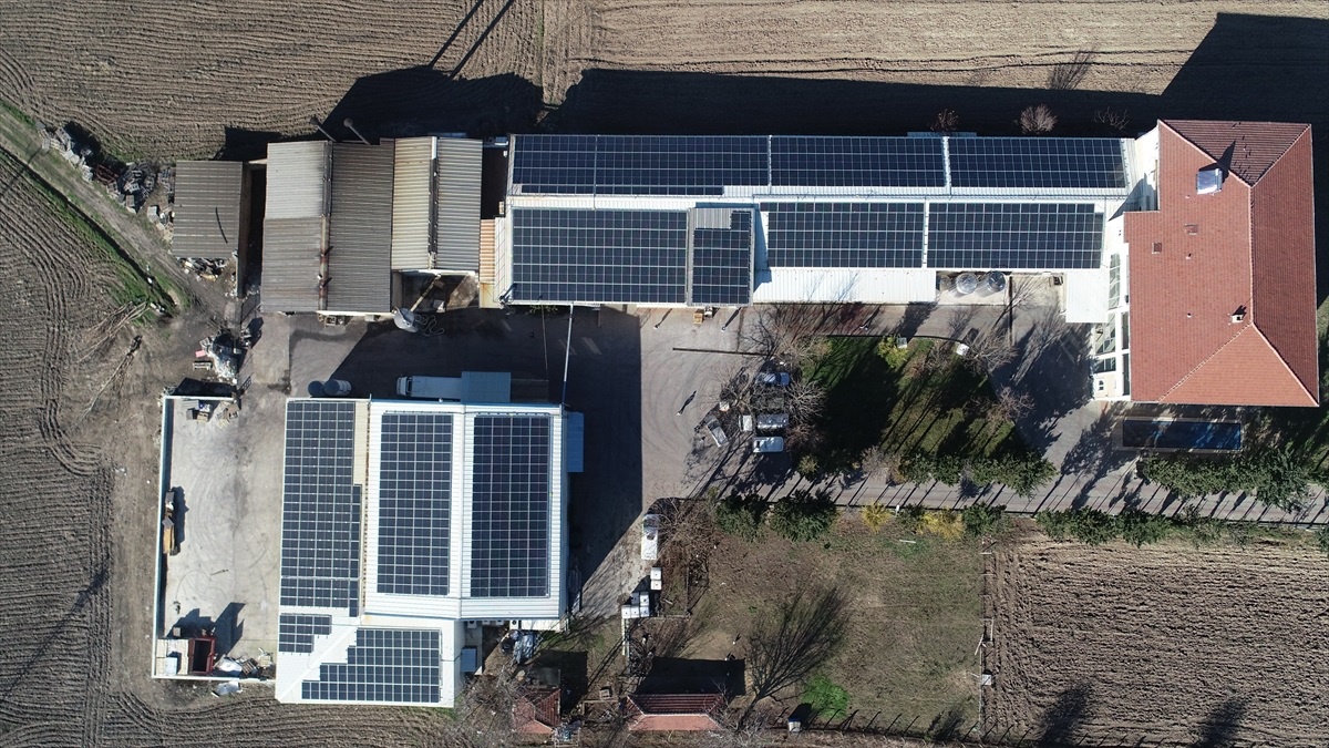 Kırklareli\'deki Süt İşletmesi, Güneş Enerjisiyle Elektrik İhtiyacını Karşılıyor