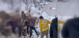 Şemdinli'de kardan çöken ahırda 7 küçükbaş hayvan telef oldu